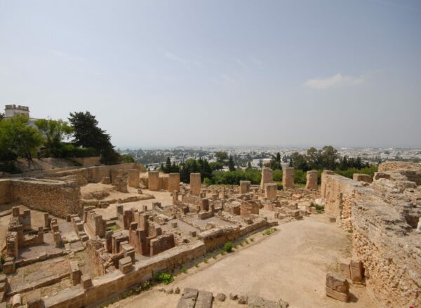 Réservation Webinar- Le Patrimoine Tunisien et Les nouveaux usages numériques (Adhérent, Alumni, Sympathisant)